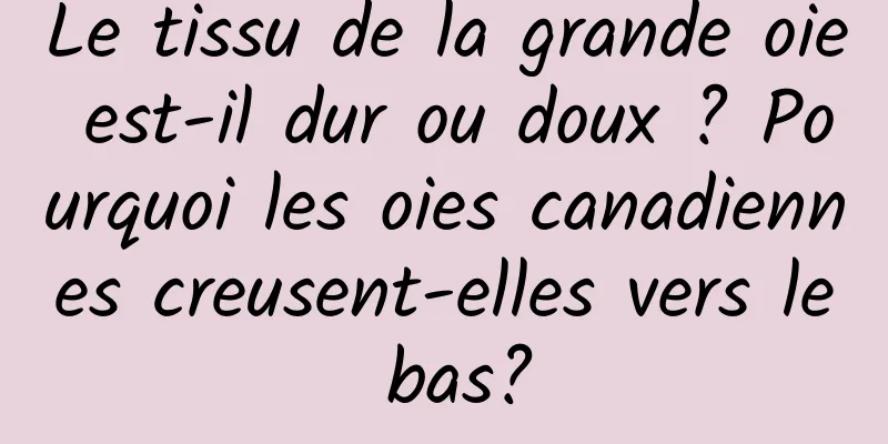 Le tissu de la grande oie est-il dur ou doux ? Pourquoi les oies canadiennes creusent-elles vers le bas?