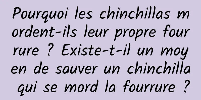 Pourquoi les chinchillas mordent-ils leur propre fourrure ? Existe-t-il un moyen de sauver un chinchilla qui se mord la fourrure ?