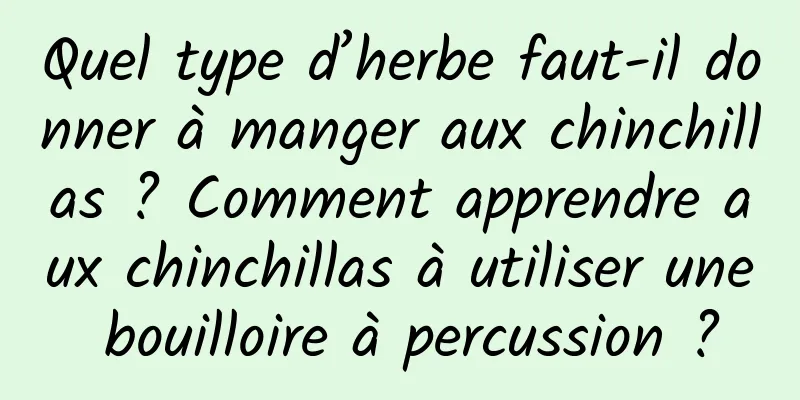 Quel type d’herbe faut-il donner à manger aux chinchillas ? Comment apprendre aux chinchillas à utiliser une bouilloire à percussion ?