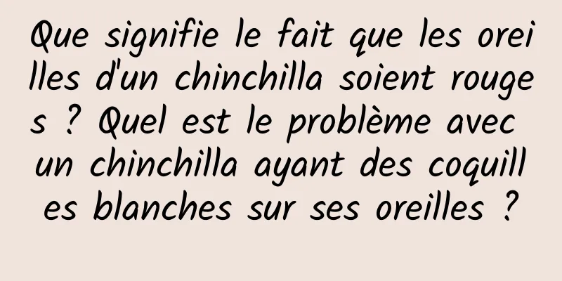 Que signifie le fait que les oreilles d'un chinchilla soient rouges ? Quel est le problème avec un chinchilla ayant des coquilles blanches sur ses oreilles ?