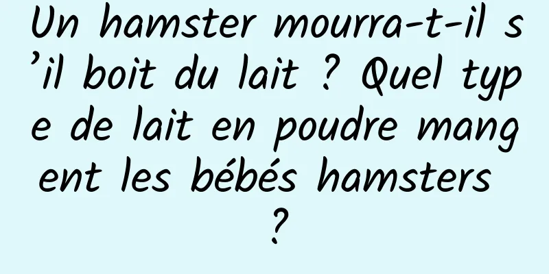 Un hamster mourra-t-il s’il boit du lait ? Quel type de lait en poudre mangent les bébés hamsters ?