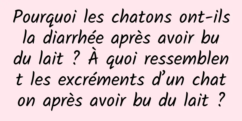 Pourquoi les chatons ont-ils la diarrhée après avoir bu du lait ? À quoi ressemblent les excréments d’un chaton après avoir bu du lait ?
