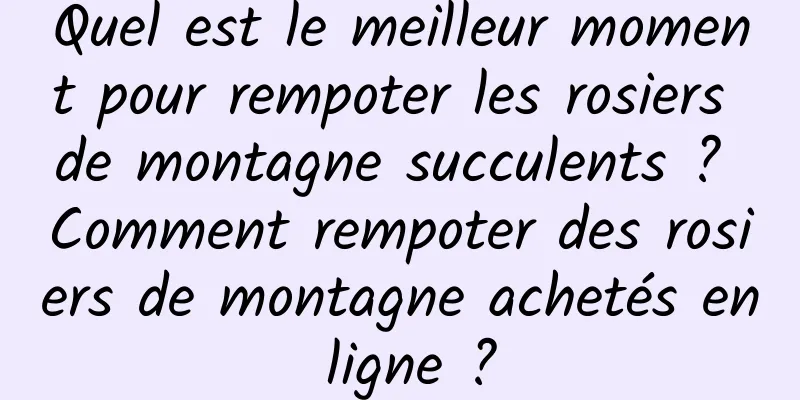 Quel est le meilleur moment pour rempoter les rosiers de montagne succulents ? Comment rempoter des rosiers de montagne achetés en ligne ?