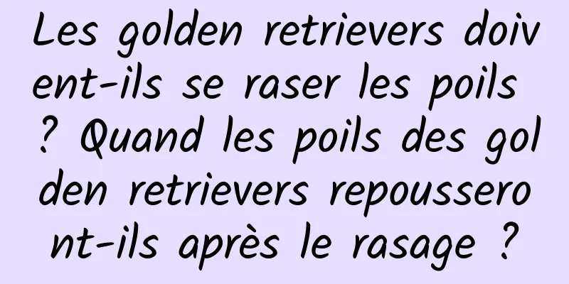 Les golden retrievers doivent-ils se raser les poils ? Quand les poils des golden retrievers repousseront-ils après le rasage ?