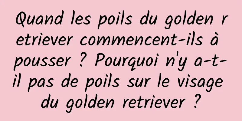 Quand les poils du golden retriever commencent-ils à pousser ? Pourquoi n'y a-t-il pas de poils sur le visage du golden retriever ?
