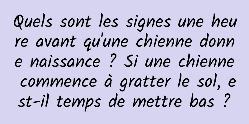 Quels sont les signes une heure avant qu'une chienne donne naissance ? Si une chienne commence à gratter le sol, est-il temps de mettre bas ?
