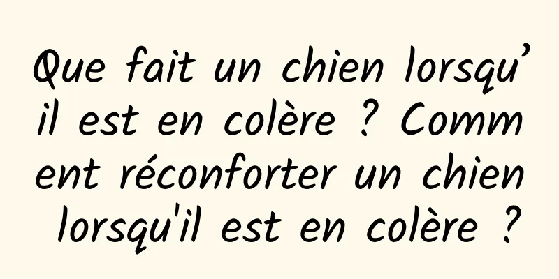 Que fait un chien lorsqu’il est en colère ? Comment réconforter un chien lorsqu'il est en colère ?