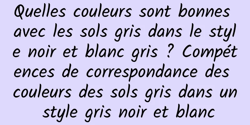 Quelles couleurs sont bonnes avec les sols gris dans le style noir et blanc gris ? Compétences de correspondance des couleurs des sols gris dans un style gris noir et blanc