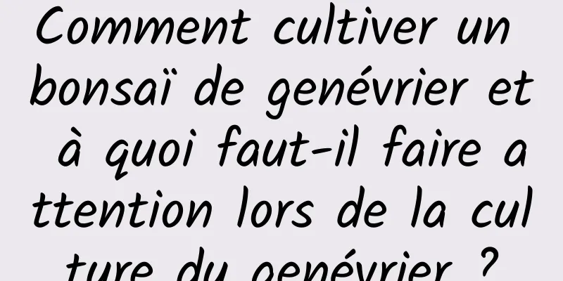 Comment cultiver un bonsaï de genévrier et à quoi faut-il faire attention lors de la culture du genévrier ?
