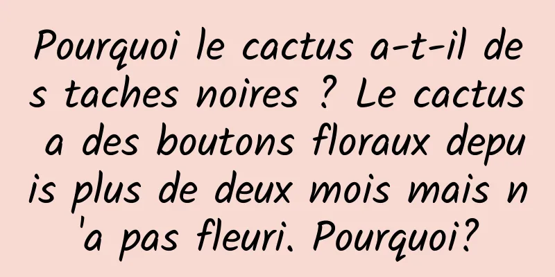 Pourquoi le cactus a-t-il des taches noires ? Le cactus a des boutons floraux depuis plus de deux mois mais n'a pas fleuri. Pourquoi?