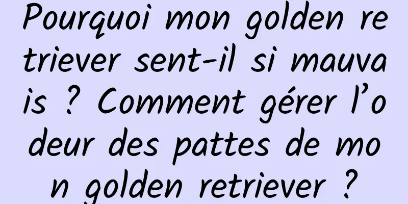 Pourquoi mon golden retriever sent-il si mauvais ? Comment gérer l’odeur des pattes de mon golden retriever ?