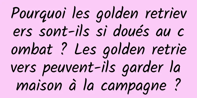 Pourquoi les golden retrievers sont-ils si doués au combat ? Les golden retrievers peuvent-ils garder la maison à la campagne ?
