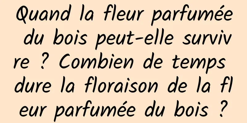 Quand la fleur parfumée du bois peut-elle survivre ? Combien de temps dure la floraison de la fleur parfumée du bois ?