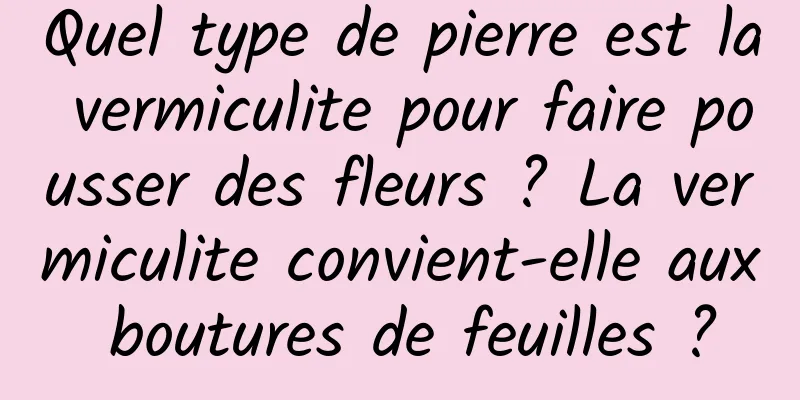 Quel type de pierre est la vermiculite pour faire pousser des fleurs ? La vermiculite convient-elle aux boutures de feuilles ?
