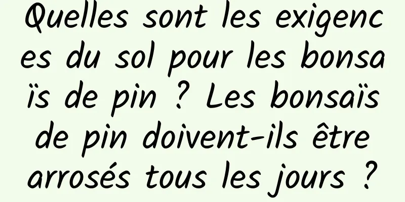Quelles sont les exigences du sol pour les bonsaïs de pin ? Les bonsaïs de pin doivent-ils être arrosés tous les jours ?