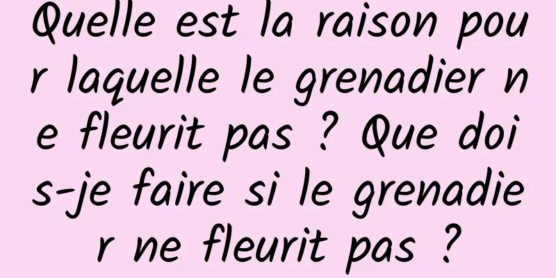 Quelle est la raison pour laquelle le grenadier ne fleurit pas ? Que dois-je faire si le grenadier ne fleurit pas ?