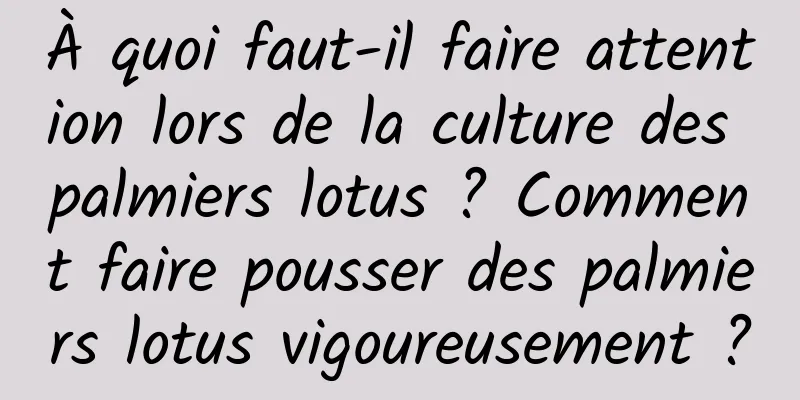 À quoi faut-il faire attention lors de la culture des palmiers lotus ? Comment faire pousser des palmiers lotus vigoureusement ?