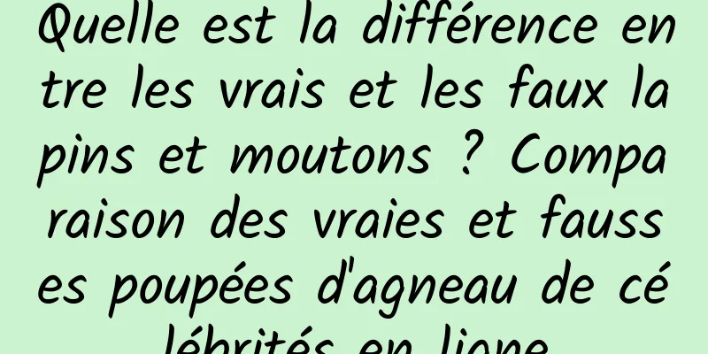 Quelle est la différence entre les vrais et les faux lapins et moutons ? Comparaison des vraies et fausses poupées d'agneau de célébrités en ligne
