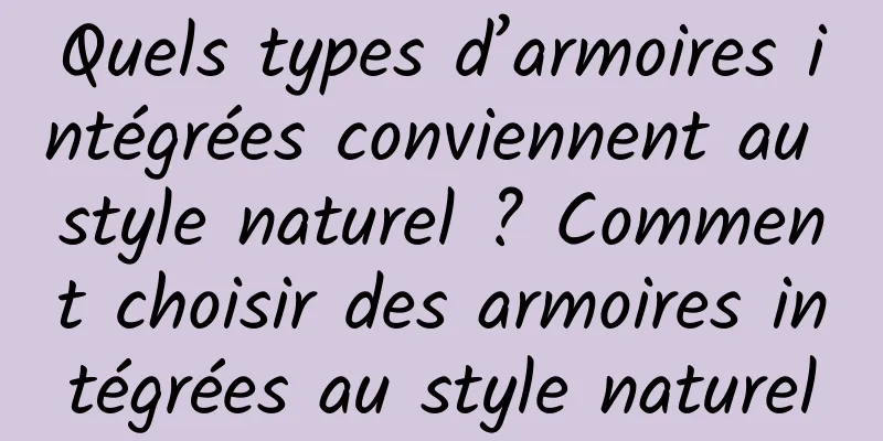 Quels types d’armoires intégrées conviennent au style naturel ? Comment choisir des armoires intégrées au style naturel