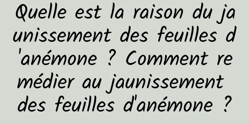 Quelle est la raison du jaunissement des feuilles d'anémone ? Comment remédier au jaunissement des feuilles d'anémone ?