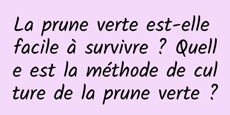 La prune verte est-elle facile à survivre ? Quelle est la méthode de culture de la prune verte ?