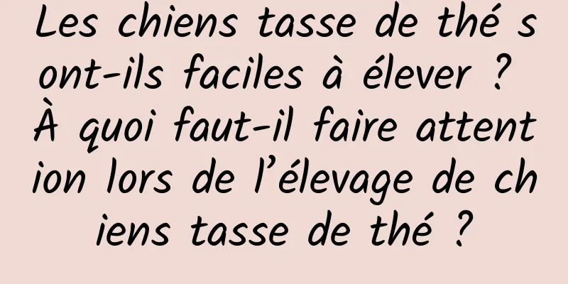 Les chiens tasse de thé sont-ils faciles à élever ? À quoi faut-il faire attention lors de l’élevage de chiens tasse de thé ?