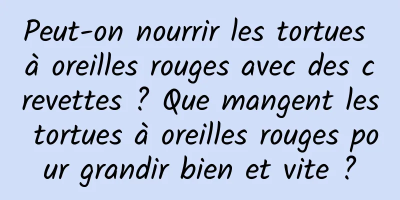 Peut-on nourrir les tortues à oreilles rouges avec des crevettes ? Que mangent les tortues à oreilles rouges pour grandir bien et vite ?