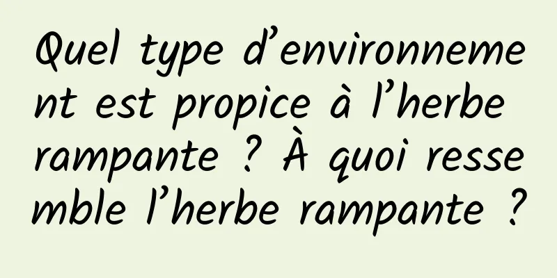 Quel type d’environnement est propice à l’herbe rampante ? À quoi ressemble l’herbe rampante ?