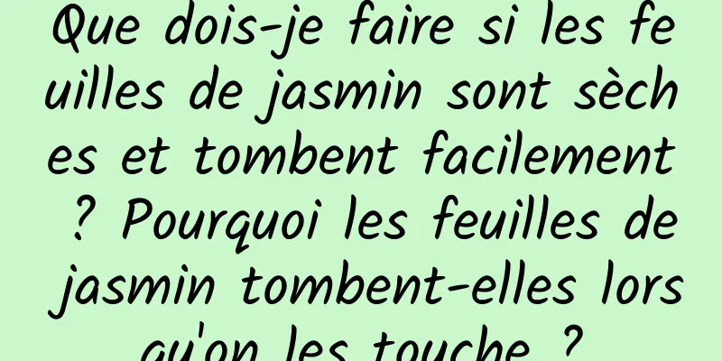 Que dois-je faire si les feuilles de jasmin sont sèches et tombent facilement ? Pourquoi les feuilles de jasmin tombent-elles lorsqu'on les touche ?