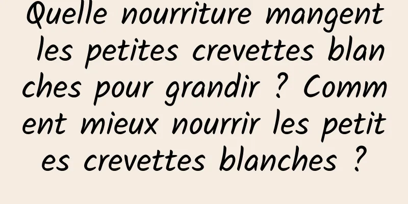 Quelle nourriture mangent les petites crevettes blanches pour grandir ? Comment mieux nourrir les petites crevettes blanches ?