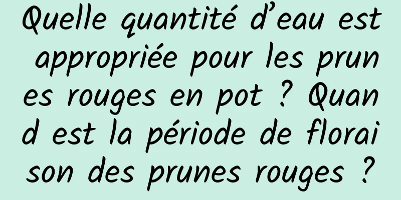Quelle quantité d’eau est appropriée pour les prunes rouges en pot ? Quand est la période de floraison des prunes rouges ?