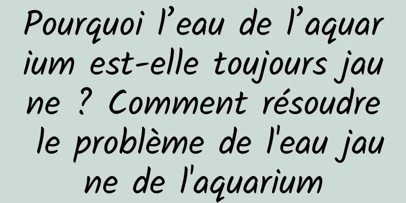 Pourquoi l’eau de l’aquarium est-elle toujours jaune ? Comment résoudre le problème de l'eau jaune de l'aquarium