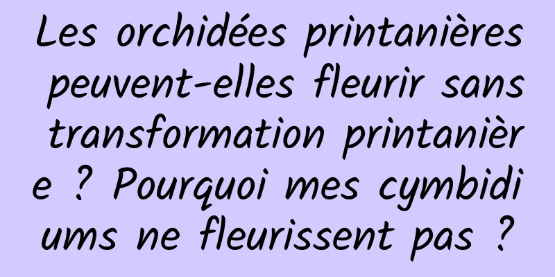 Les orchidées printanières peuvent-elles fleurir sans transformation printanière ? Pourquoi mes cymbidiums ne fleurissent pas ?