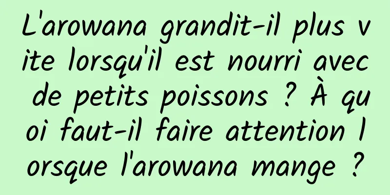 L'arowana grandit-il plus vite lorsqu'il est nourri avec de petits poissons ? À quoi faut-il faire attention lorsque l'arowana mange ?