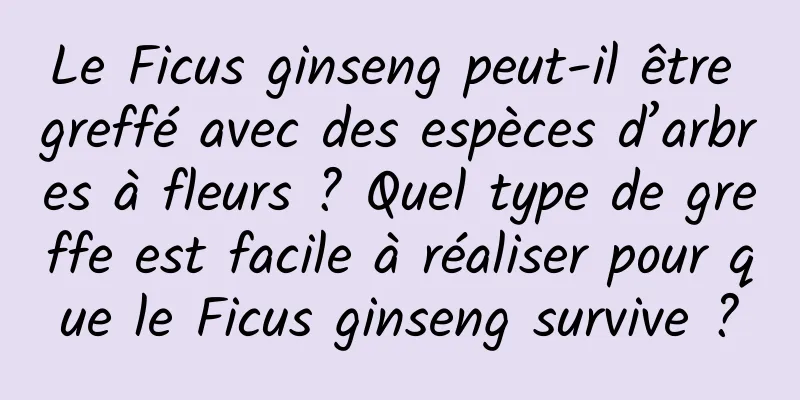 Le Ficus ginseng peut-il être greffé avec des espèces d’arbres à fleurs ? Quel type de greffe est facile à réaliser pour que le Ficus ginseng survive ?