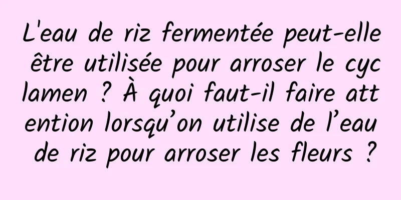 L'eau de riz fermentée peut-elle être utilisée pour arroser le cyclamen ? À quoi faut-il faire attention lorsqu’on utilise de l’eau de riz pour arroser les fleurs ?