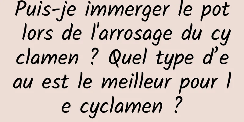 Puis-je immerger le pot lors de l'arrosage du cyclamen ? Quel type d’eau est le meilleur pour le cyclamen ?