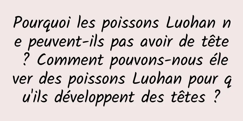 Pourquoi les poissons Luohan ne peuvent-ils pas avoir de tête ? Comment pouvons-nous élever des poissons Luohan pour qu'ils développent des têtes ?