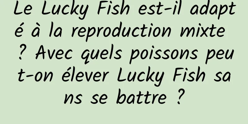 Le Lucky Fish est-il adapté à la reproduction mixte ? Avec quels poissons peut-on élever Lucky Fish sans se battre ?
