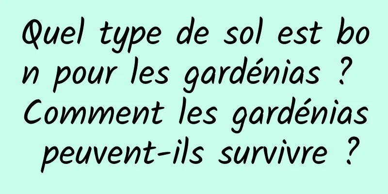 Quel type de sol est bon pour les gardénias ? Comment les gardénias peuvent-ils survivre ?