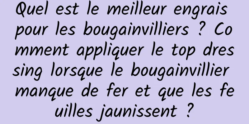 Quel est le meilleur engrais pour les bougainvilliers ? Comment appliquer le top dressing lorsque le bougainvillier manque de fer et que les feuilles jaunissent ?