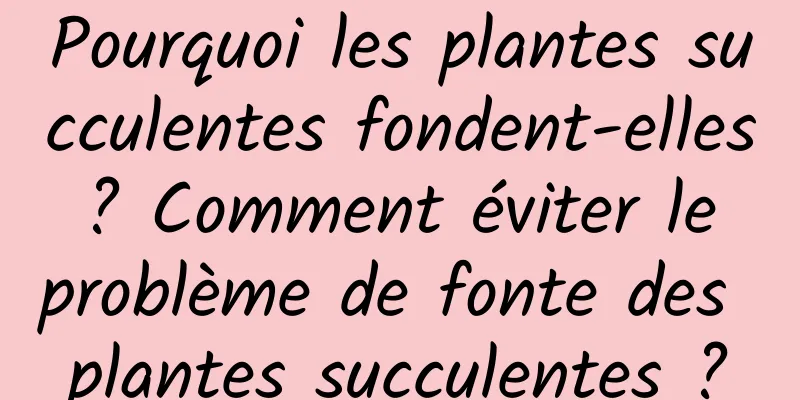 Pourquoi les plantes succulentes fondent-elles ? Comment éviter le problème de fonte des plantes succulentes ?