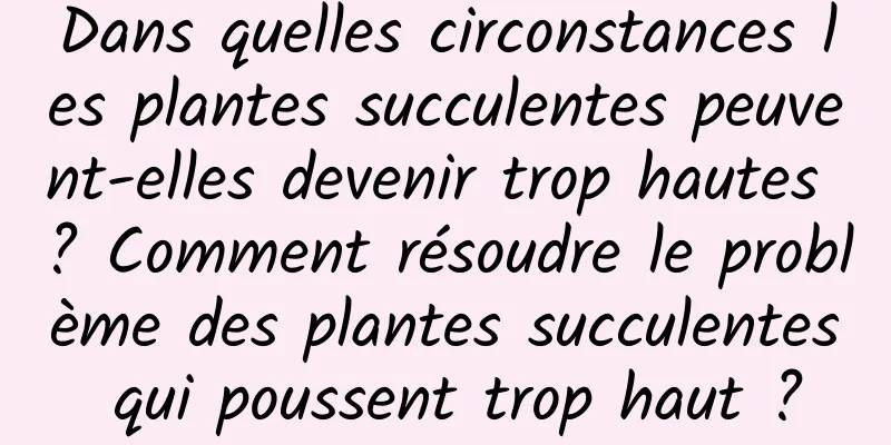 Dans quelles circonstances les plantes succulentes peuvent-elles devenir trop hautes ? Comment résoudre le problème des plantes succulentes qui poussent trop haut ?