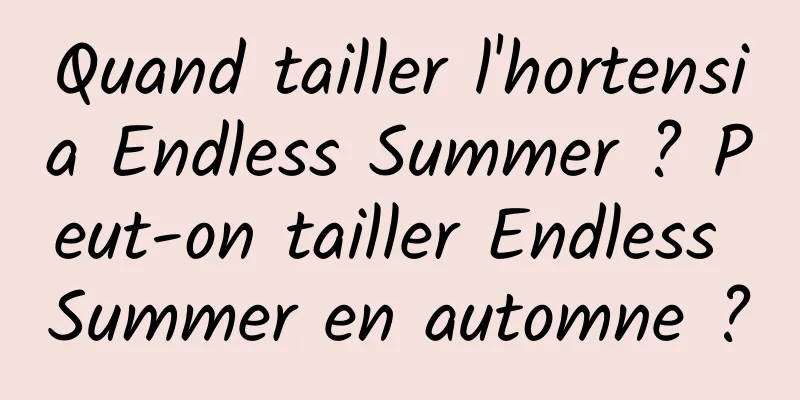 Quand tailler l'hortensia Endless Summer ? Peut-on tailler Endless Summer en automne ?