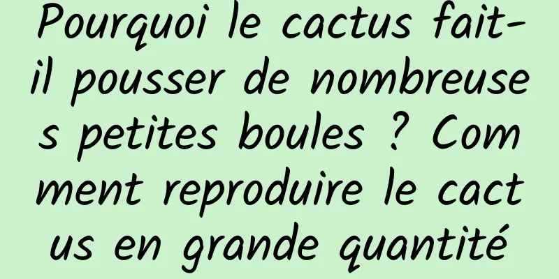 Pourquoi le cactus fait-il pousser de nombreuses petites boules ? Comment reproduire le cactus en grande quantité