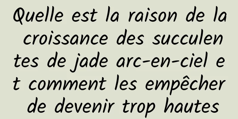 Quelle est la raison de la croissance des succulentes de jade arc-en-ciel et comment les empêcher de devenir trop hautes