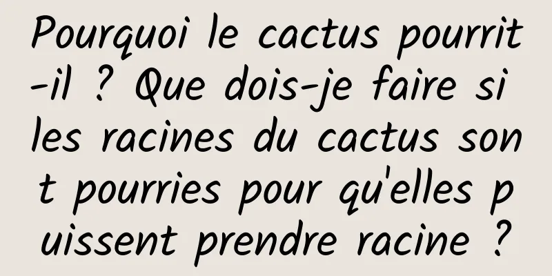Pourquoi le cactus pourrit-il ? Que dois-je faire si les racines du cactus sont pourries pour qu'elles puissent prendre racine ?