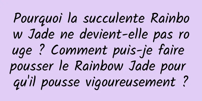 Pourquoi la succulente Rainbow Jade ne devient-elle pas rouge ? Comment puis-je faire pousser le Rainbow Jade pour qu'il pousse vigoureusement ?