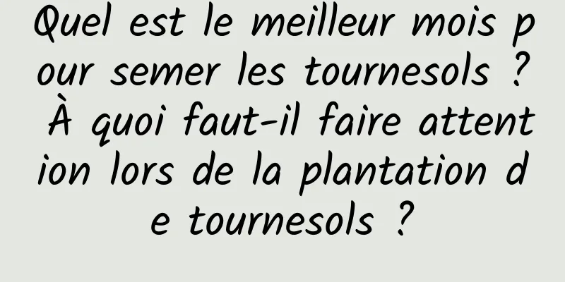 Quel est le meilleur mois pour semer les tournesols ? À quoi faut-il faire attention lors de la plantation de tournesols ?