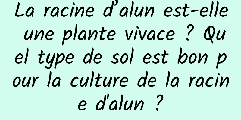 La racine d’alun est-elle une plante vivace ? Quel type de sol est bon pour la culture de la racine d'alun ?